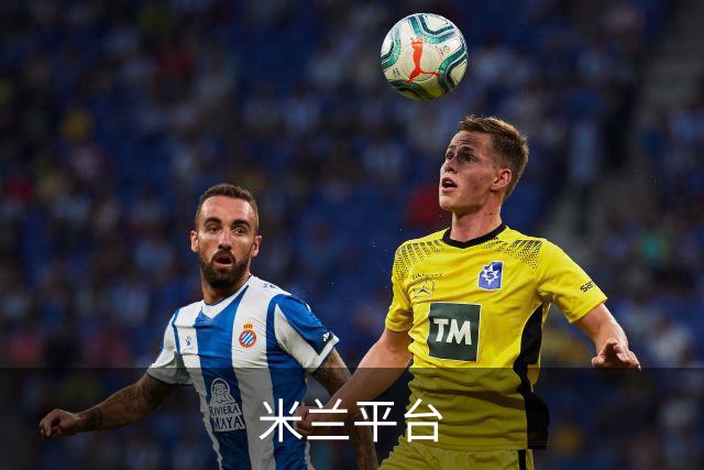 米兰平台公司简介
